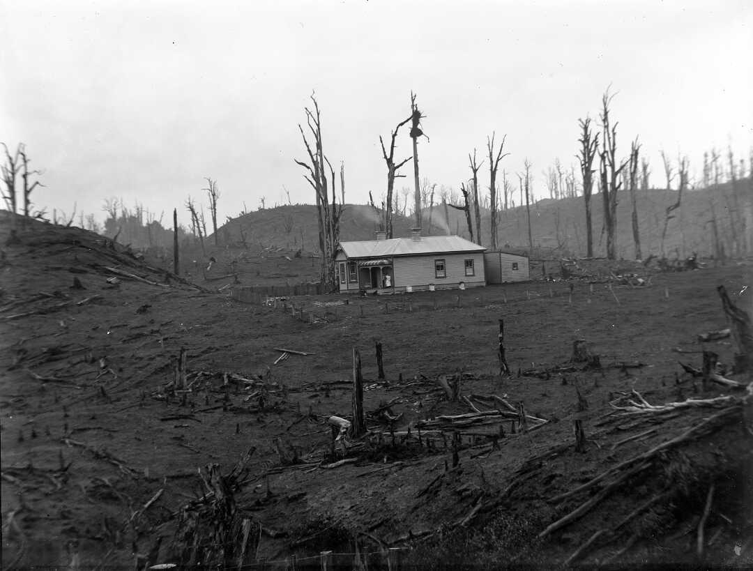Black and white photograph of a farmhouse on land cleared by a bush burn off. 